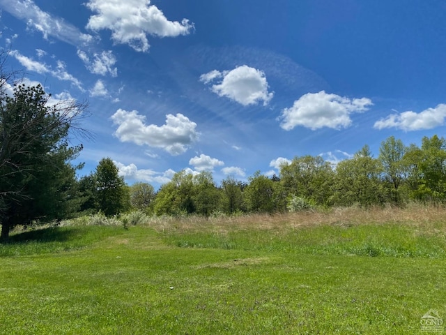 view of nature