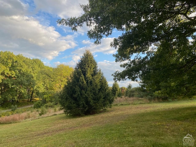 view of local wilderness featuring a view of trees