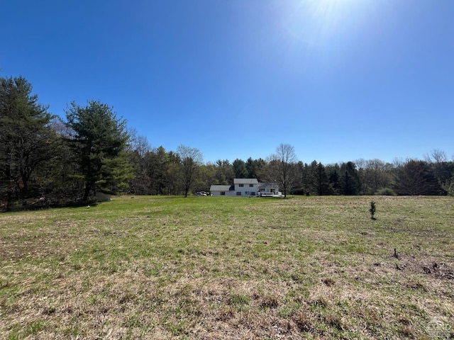view of yard with a rural view and a view of trees