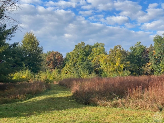 view of yard featuring a view of trees