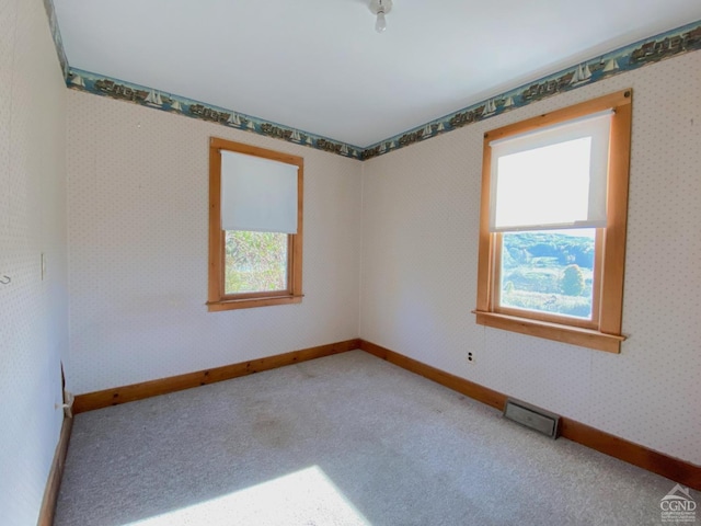 carpeted spare room featuring a healthy amount of sunlight