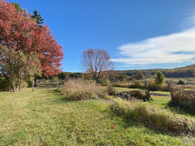 view of yard featuring a rural view