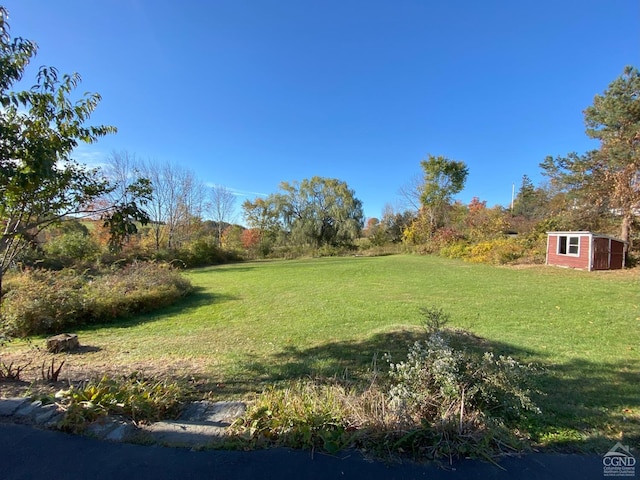 view of yard with a shed