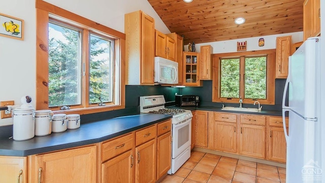 kitchen featuring lofted ceiling, plenty of natural light, and white appliances