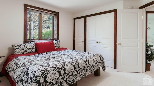 carpeted bedroom with a closet