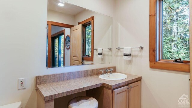 bathroom featuring vanity and a healthy amount of sunlight