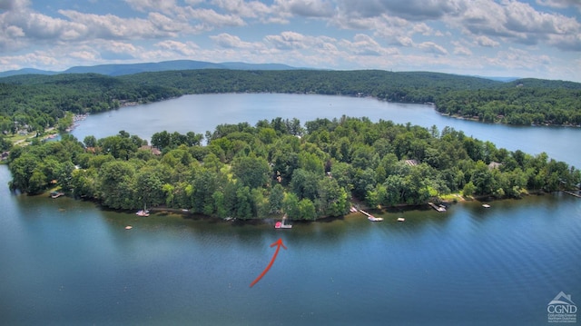 drone / aerial view featuring a view of trees and a water and mountain view