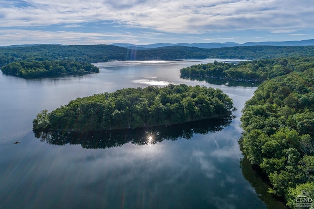 birds eye view of property featuring a forest view and a water and mountain view