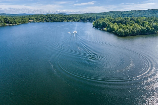 bird's eye view featuring a forest view and a water view