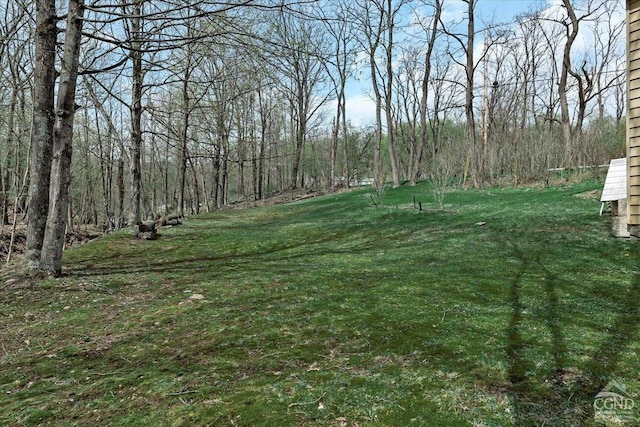 view of yard