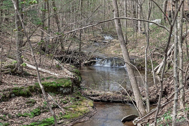 view of local wilderness