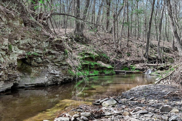 view of local wilderness