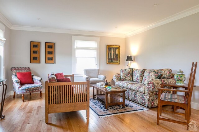 living room with light wood-type flooring and ornamental molding