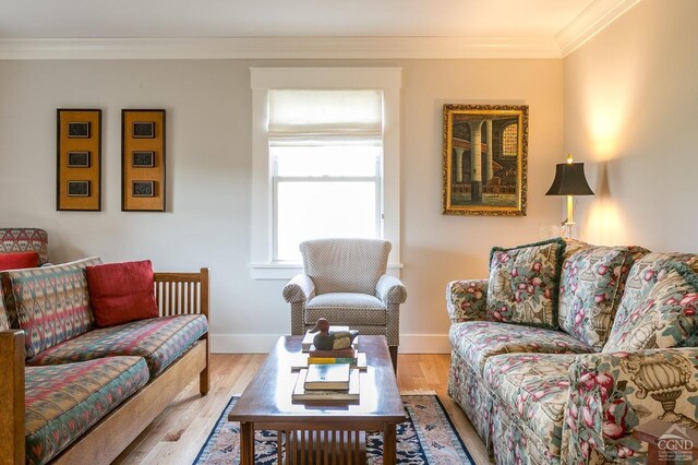 living room featuring light hardwood / wood-style floors and crown molding