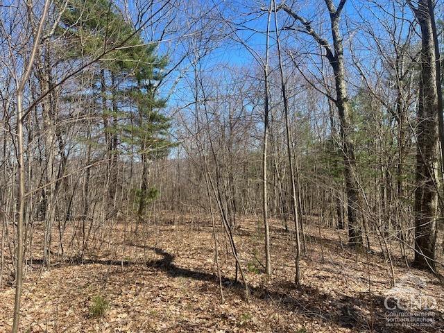 0 Amys Ln, Austerlitz NY, 12165 land for sale