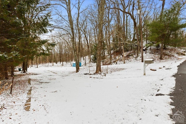 view of yard covered in snow