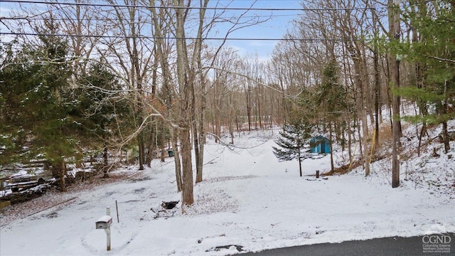 view of yard covered in snow