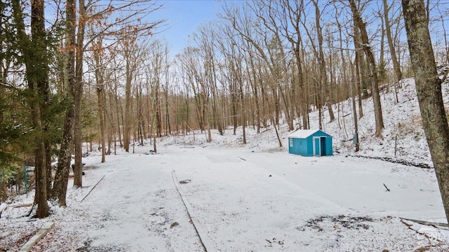 view of yard covered in snow