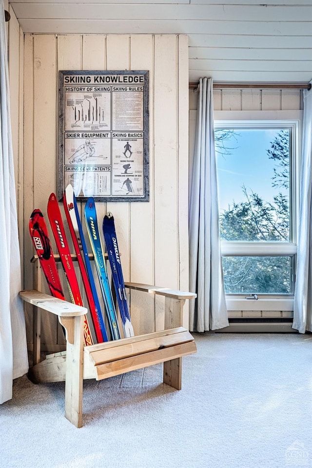 mudroom with carpet and wood walls