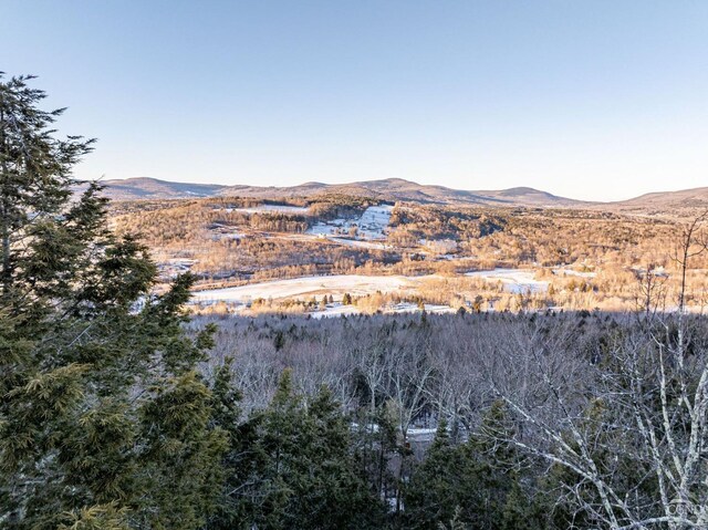 view of mountain feature