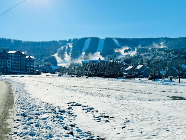 view of mountain feature