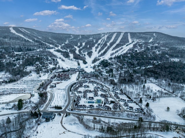 view of mountain feature