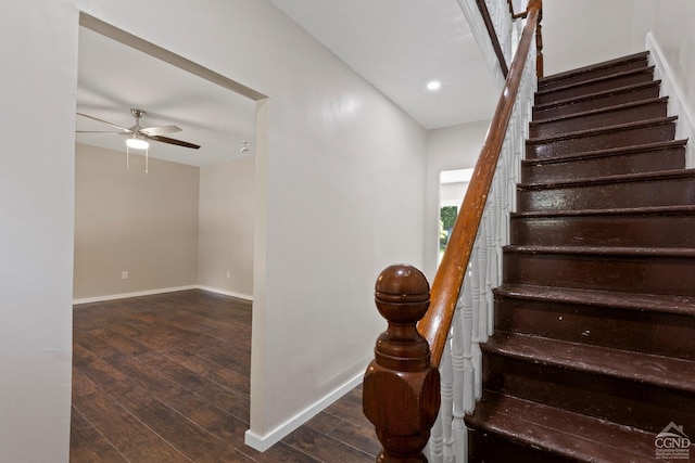 staircase with ceiling fan and hardwood / wood-style flooring