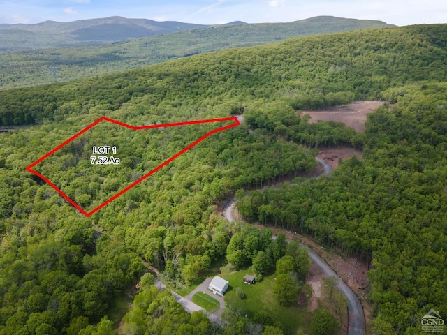 0 Galway Rd, Windham NY, 12496 land for sale