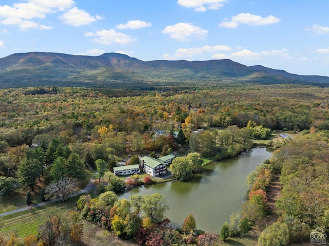 birds eye view of property featuring a water and mountain view