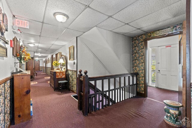 hallway with carpet flooring and a drop ceiling