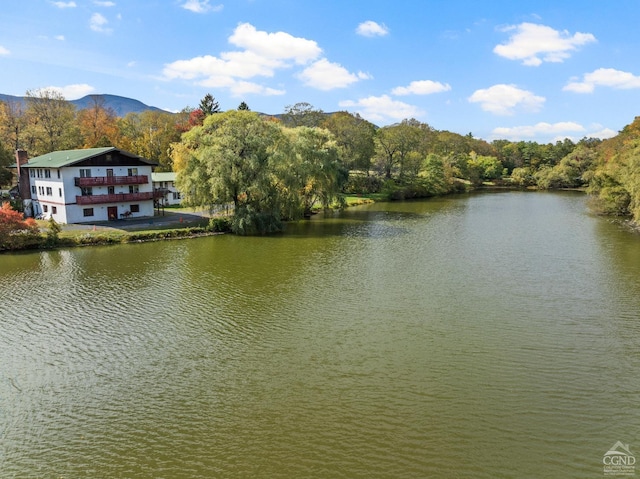 property view of water with a mountain view