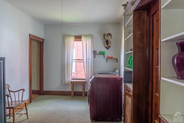 home office featuring light colored carpet, ornamental molding, and washer / clothes dryer