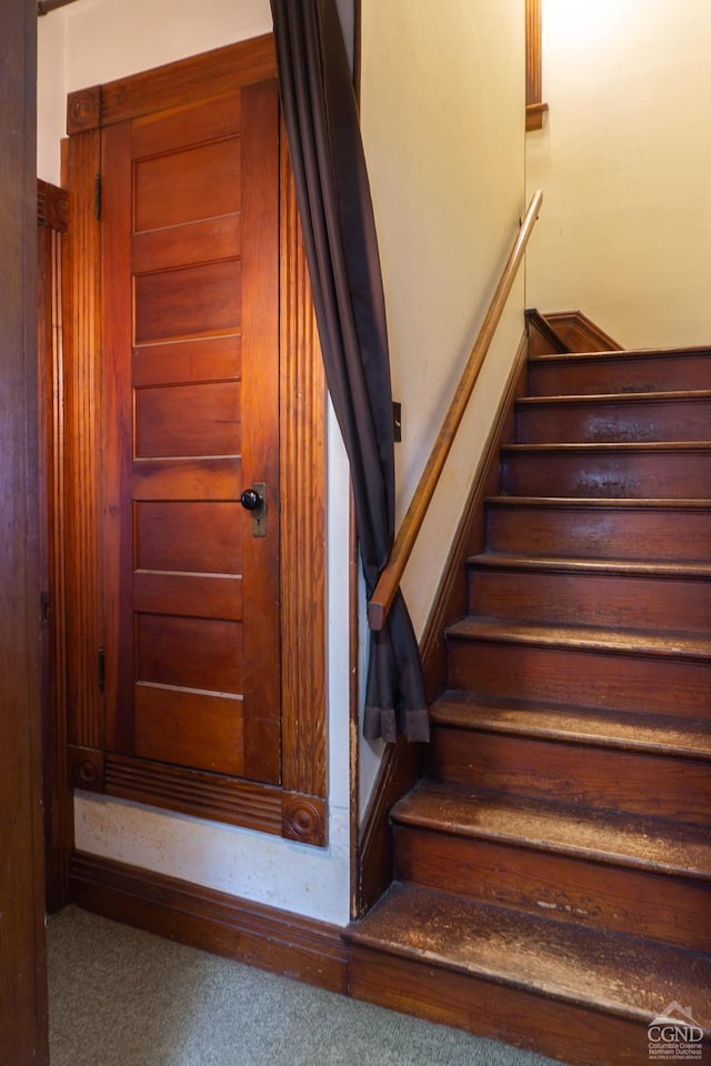 staircase featuring carpet flooring