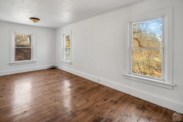 empty room with wood-type flooring and crown molding