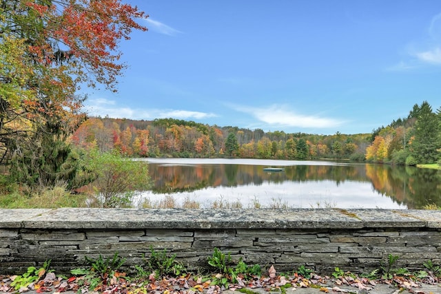 105 Gaf Lake Rd, Sanford, NY 13865 - view of dock featuring a water view