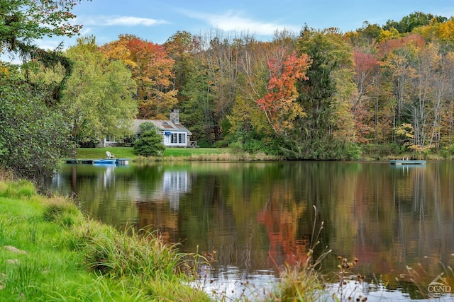 105 Gaf Lake Rd, Sanford, NY 13865 - view of water feature