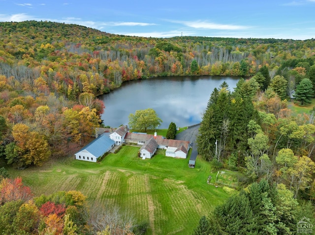 105 Gaf Lake Rd, Sanford, NY 13865 - bird's eye view featuring a water view