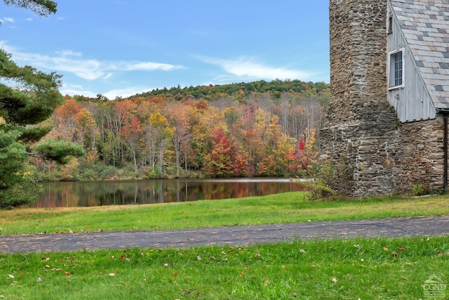 105 Gaf Lake Rd, Sanford, NY 13865 - view of yard featuring a water view