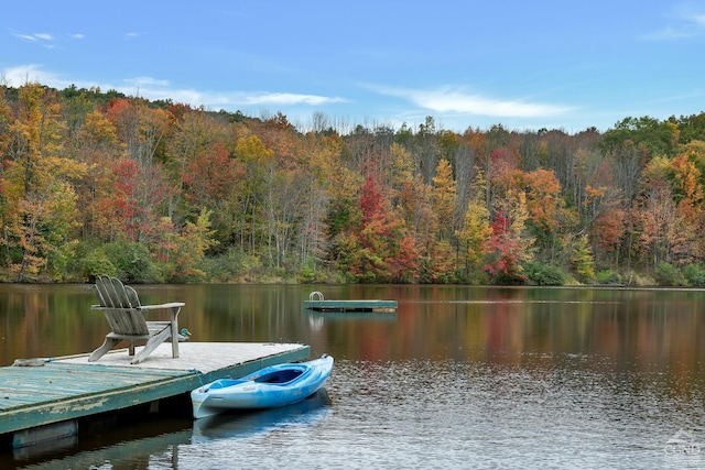 105 Gaf Lake Rd, Sanford, NY 13865 - dock area featuring a water view