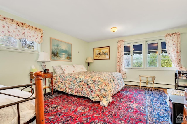 105 Gaf Lake Rd, Sanford, NY 13865 - bedroom with baseboard heating