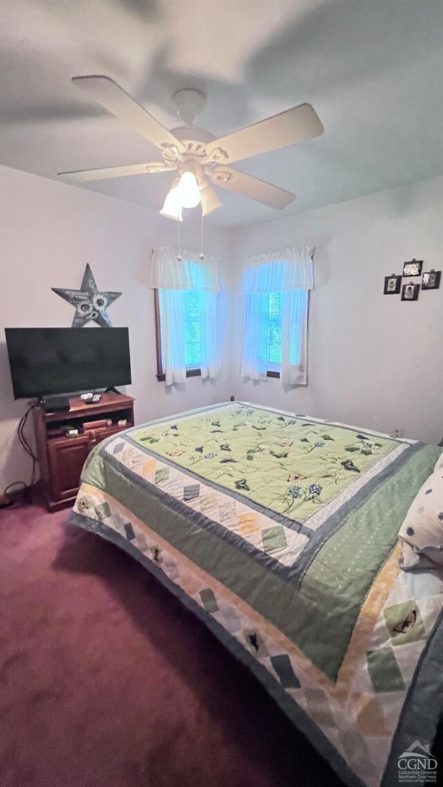 bedroom with ceiling fan, hardwood / wood-style floors, and a baseboard radiator