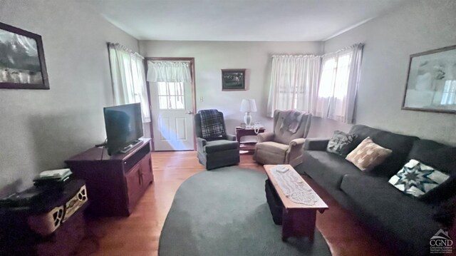 living room featuring wood-type flooring and a textured ceiling