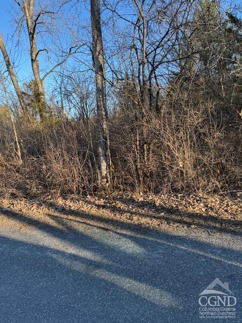 11 Tappan Zee Ct, Athens NY, 12015 land for sale