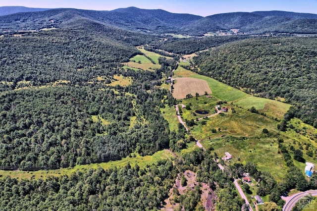 birds eye view of property featuring a mountain view