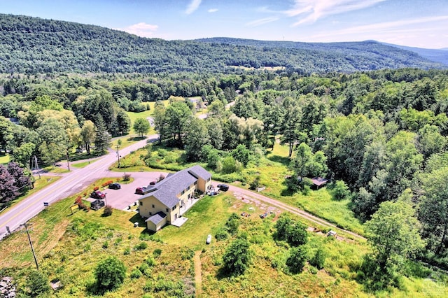 birds eye view of property featuring a mountain view