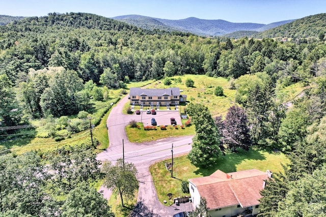 bird's eye view with a mountain view