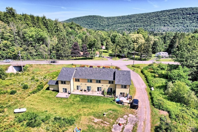 birds eye view of property featuring a mountain view