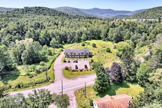 bird's eye view with a mountain view