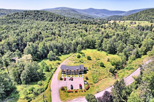 drone / aerial view featuring a mountain view