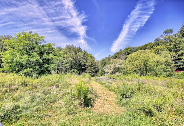 view of local wilderness